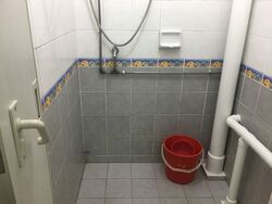 Blk 21 Dover Ville (Queenstown), HDB 3 Rooms #369245271
